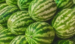 吃瓜爆料短剧吃瓜爆料大赛每日聚集地 今日吃瓜网,揭秘“吃瓜爆料短剧”大赛，每日热点聚集地